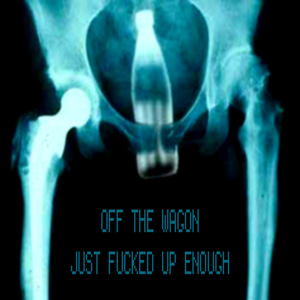 Off The Wagon: Just Fucked Up Enough